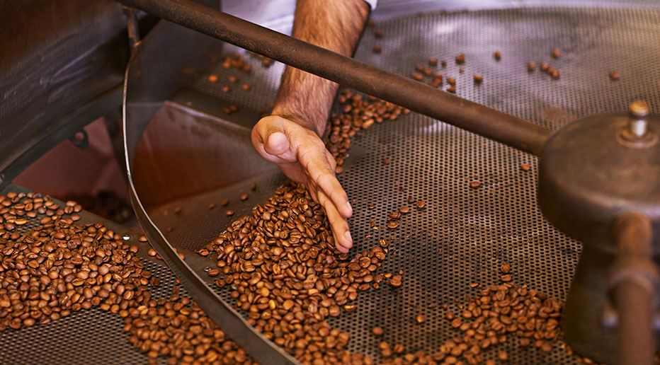 Premium Single-Origin Sourcing